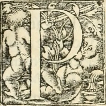 An illustration from Hieroglyphica, sive, De sacris Aegyptiorvm aliarvmqve gentivm literis commentarij, 1567, leaf 200
