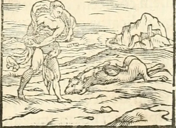 An illustration from Hieroglyphica, sive, De sacris Aegyptiorvm aliarvmqve gentivm literis commentarij, 1567, leaf 208