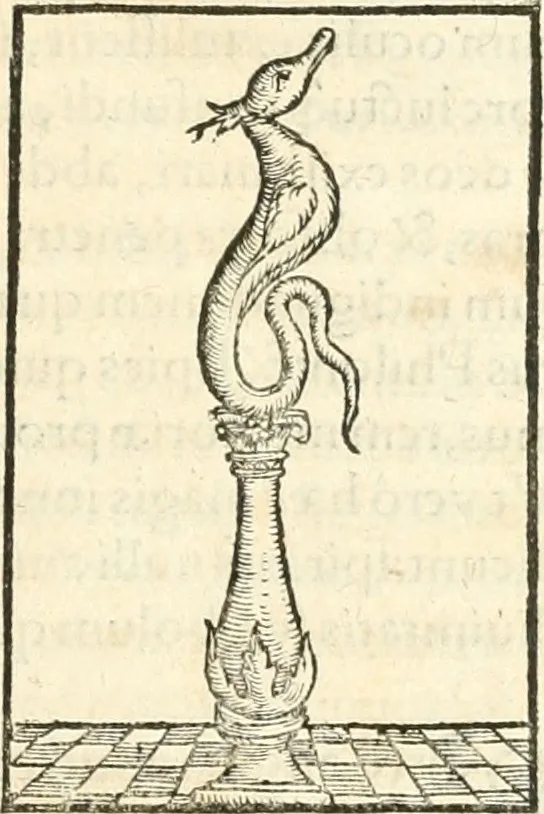 An illustration from Hieroglyphica, sive, De sacris Aegyptiorvm aliarvmqve gentivm literis commentarij, 1567, leaf 220