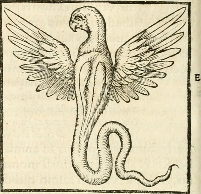 An illustration from Hieroglyphica, sive, De sacris Aegyptiorvm aliarvmqve gentivm literis commentarij, 1567, leaf 221