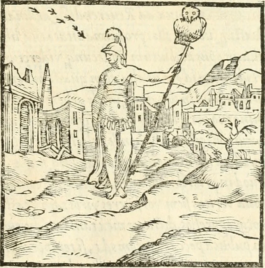 An illustration from Hieroglyphica, sive, De sacris Aegyptiorvm aliarvmqve gentivm literis commentarij, 1567, leaf 242