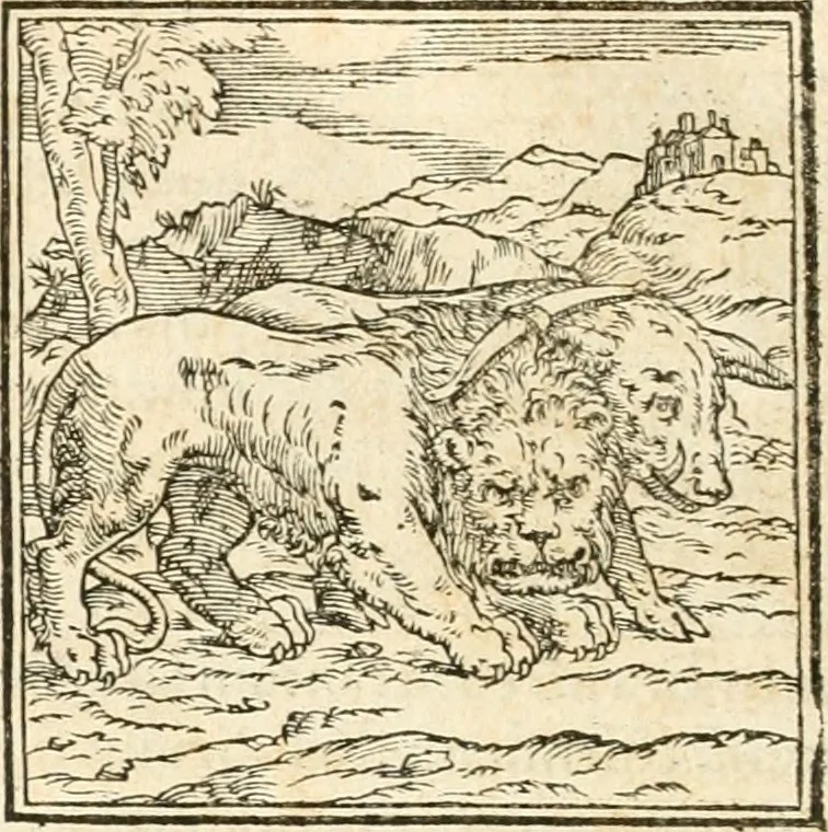 An illustration from Hieroglyphica, sive, De sacris Aegyptiorvm aliarvmqve gentivm literis commentarij, 1567, leaf 25