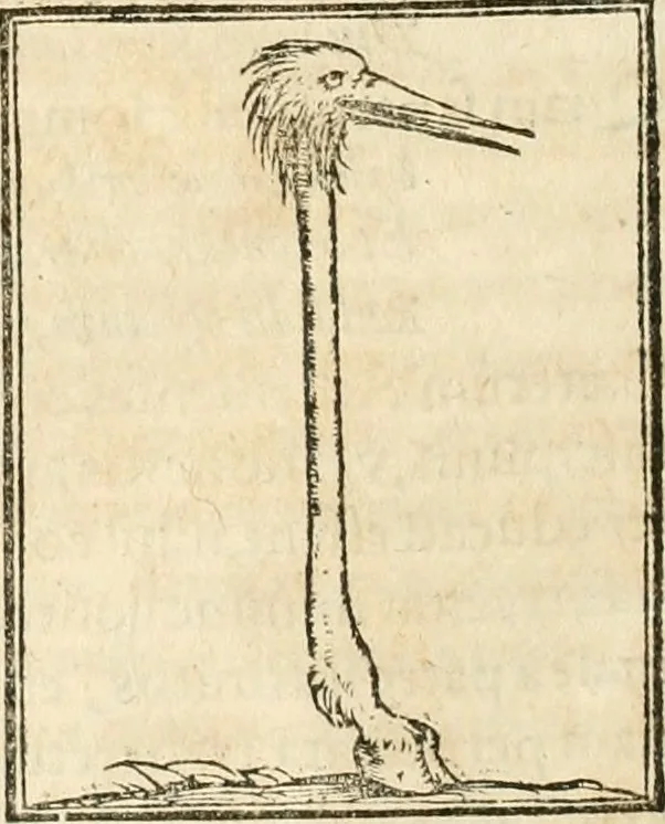 An illustration from Hieroglyphica, sive, De sacris Aegyptiorvm aliarvmqve gentivm literis commentarij, 1567, leaf 259