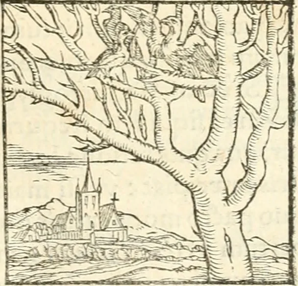 An illustration from Hieroglyphica, sive, De sacris Aegyptiorvm aliarvmqve gentivm literis commentarij, 1567, leaf 260