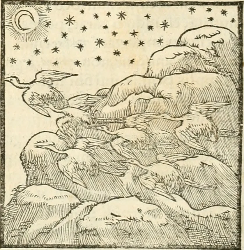 An illustration from Hieroglyphica, sive, De sacris Aegyptiorvm aliarvmqve gentivm literis commentarij, 1567, leaf 261