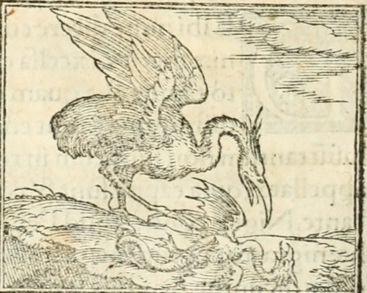 An illustration from Hieroglyphica, sive, De sacris Aegyptiorvm aliarvmqve gentivm literis commentarij, 1567, leaf 265