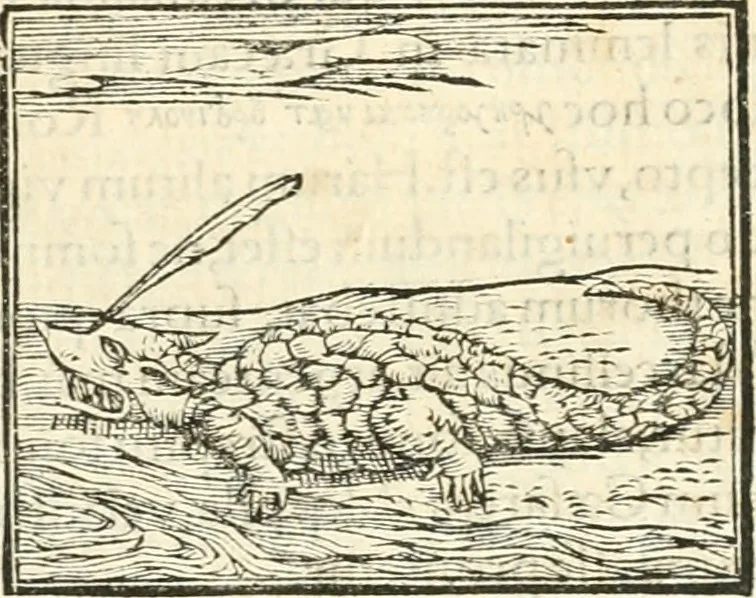 An illustration from Hieroglyphica, sive, De sacris Aegyptiorvm aliarvmqve gentivm literis commentarij, 1567, leaf 266