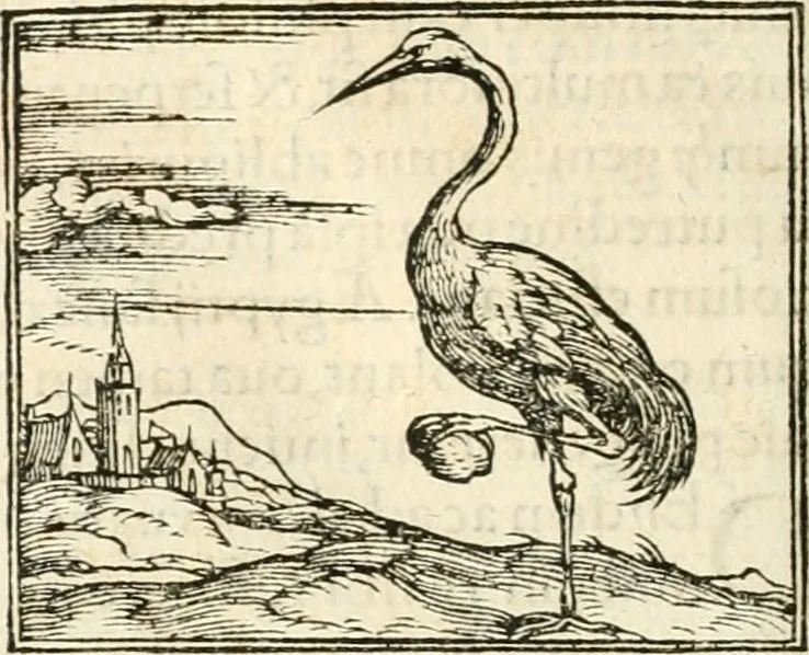 An illustration from Hieroglyphica, sive, De sacris Aegyptiorvm aliarvmqve gentivm literis commentarij, 1567, leaf 267