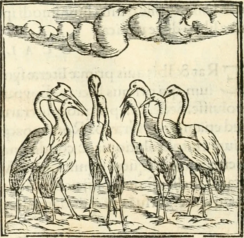 An illustration from Hieroglyphica, sive, De sacris Aegyptiorvm aliarvmqve gentivm literis commentarij, 1567, leaf 267