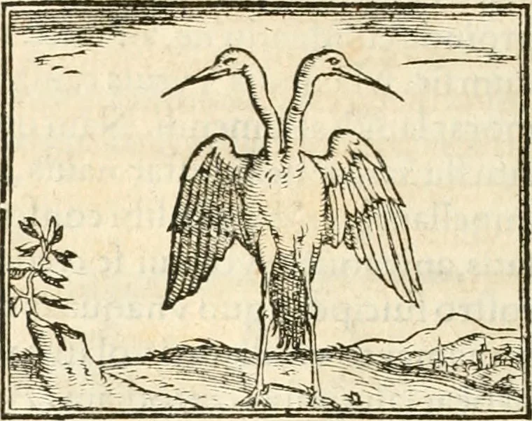 An illustration from Hieroglyphica, sive, De sacris Aegyptiorvm aliarvmqve gentivm literis commentarij, 1567, leaf 269
