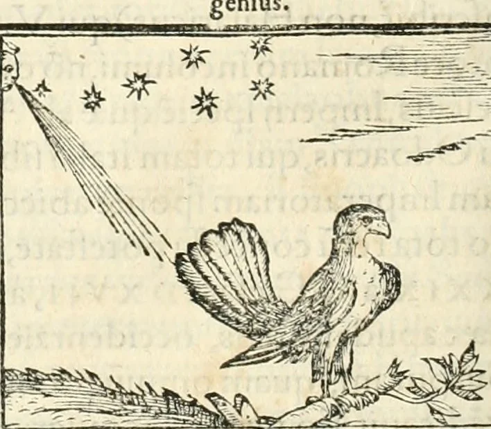 An illustration from Hieroglyphica, sive, De sacris Aegyptiorvm aliarvmqve gentivm literis commentarij, 1567, leaf 273