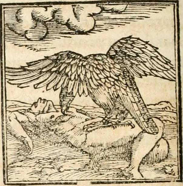 An illustration from Hieroglyphica, sive, De sacris Aegyptiorvm aliarvmqve gentivm literis commentarij, 1567, leaf 277