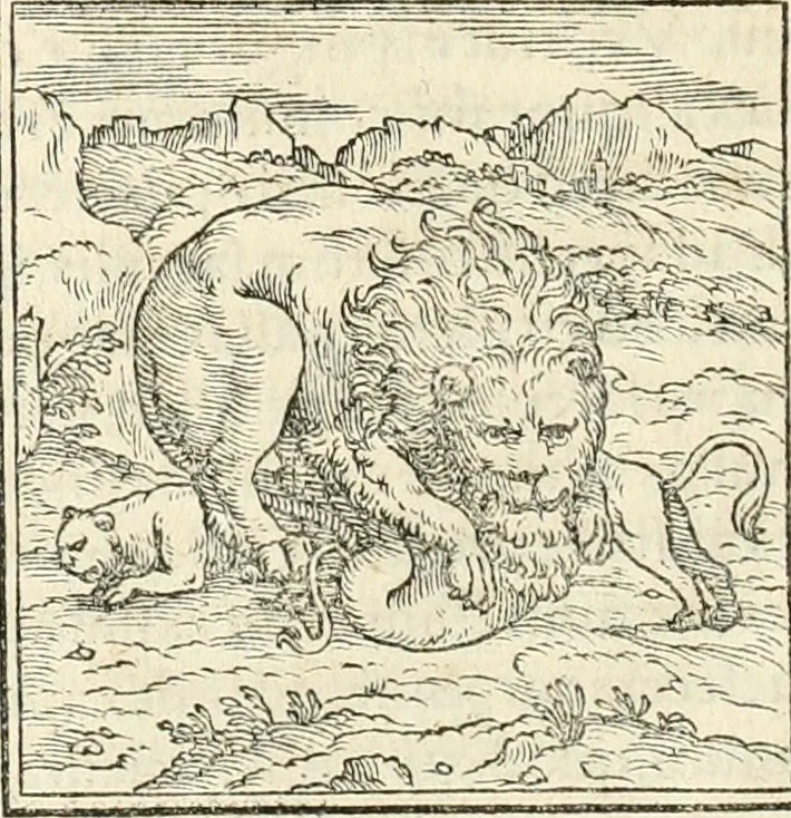 An illustration from Hieroglyphica, sive, De sacris Aegyptiorvm aliarvmqve gentivm literis commentarij, 1567, leaf 29