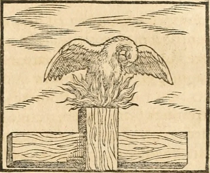 An illustration from Hieroglyphica, sive, De sacris Aegyptiorvm aliarvmqve gentivm literis commentarij, 1567, leaf 302