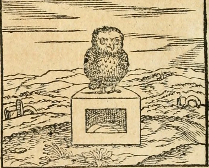 An illustration from Hieroglyphica, sive, De sacris Aegyptiorvm aliarvmqve gentivm literis commentarij, 1567, leaf 303
