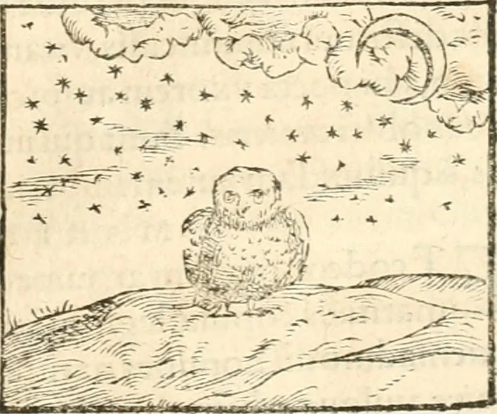 An illustration from Hieroglyphica, sive, De sacris Aegyptiorvm aliarvmqve gentivm literis commentarij, 1567, leaf 306