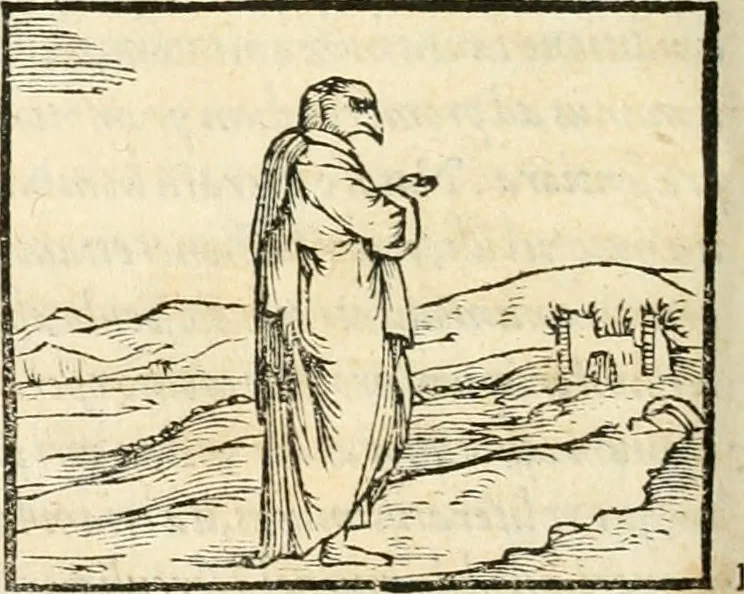 An illustration from Hieroglyphica, sive, De sacris Aegyptiorvm aliarvmqve gentivm literis commentarij, 1567, leaf 313