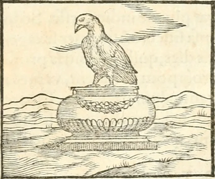 An illustration from Hieroglyphica, sive, De sacris Aegyptiorvm aliarvmqve gentivm literis commentarij, 1567, leaf 348
