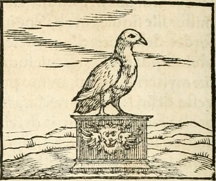 An illustration from Hieroglyphica, sive, De sacris Aegyptiorvm aliarvmqve gentivm literis commentarij, 1567, leaf 349