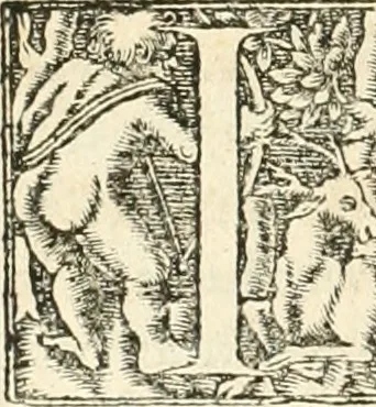 An illustration from Hieroglyphica, sive, De sacris Aegyptiorvm aliarvmqve gentivm literis commentarij, 1567, leaf 351