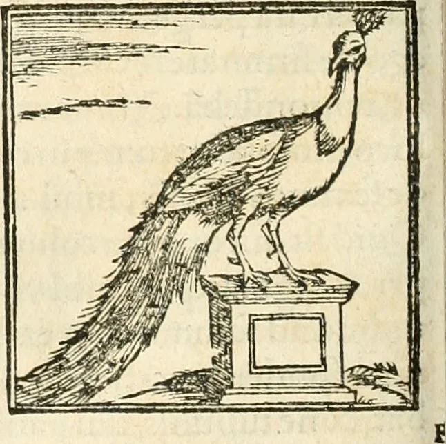 An illustration from Hieroglyphica, sive, De sacris Aegyptiorvm aliarvmqve gentivm literis commentarij, 1567, leaf 351