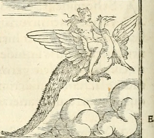 An illustration from Hieroglyphica, sive, De sacris Aegyptiorvm aliarvmqve gentivm literis commentarij, 1567, leaf 353