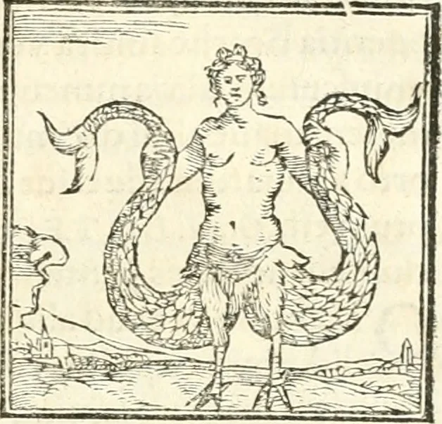 An illustration from Hieroglyphica, sive, De sacris Aegyptiorvm aliarvmqve gentivm literis commentarij, 1567, leaf 354