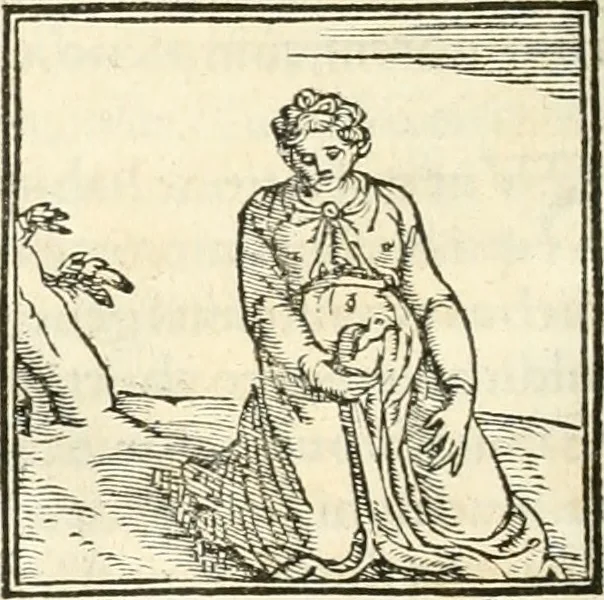 An illustration from Hieroglyphica, sive, De sacris Aegyptiorvm aliarvmqve gentivm literis commentarij, 1567, leaf 355
