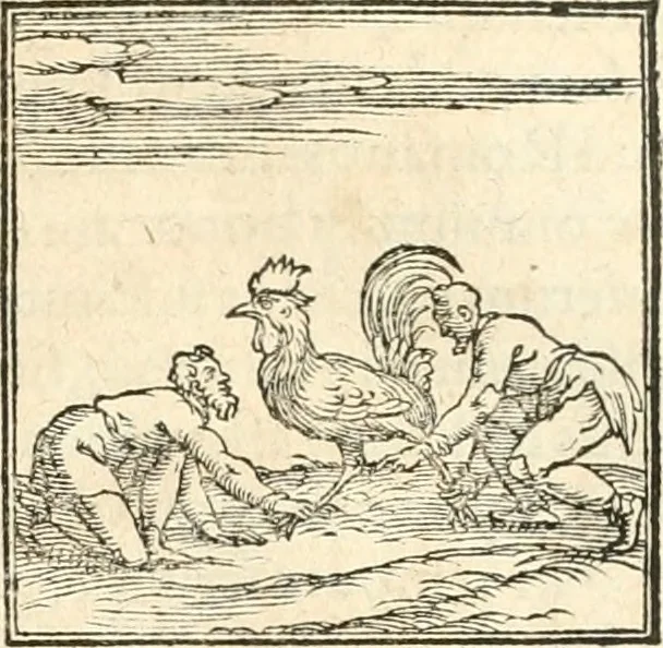 An illustration from Hieroglyphica, sive, De sacris Aegyptiorvm aliarvmqve gentivm literis commentarij, 1567, leaf 358