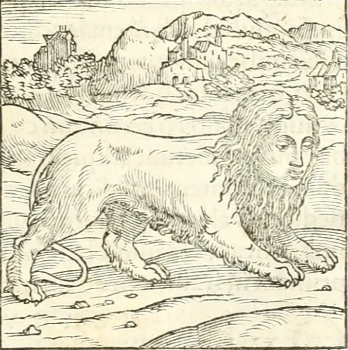 An illustration from Hieroglyphica, sive, De sacris Aegyptiorvm aliarvmqve gentivm literis commentarij, 1567, leaf 36