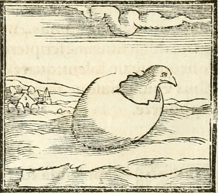 An illustration from Hieroglyphica, sive, De sacris Aegyptiorvm aliarvmqve gentivm literis commentarij, 1567, leaf 361