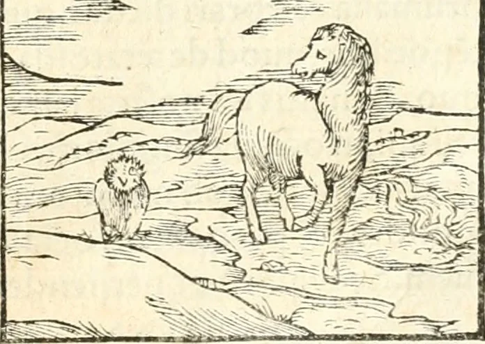 An illustration from Hieroglyphica, sive, De sacris Aegyptiorvm aliarvmqve gentivm literis commentarij, 1567, leaf 370