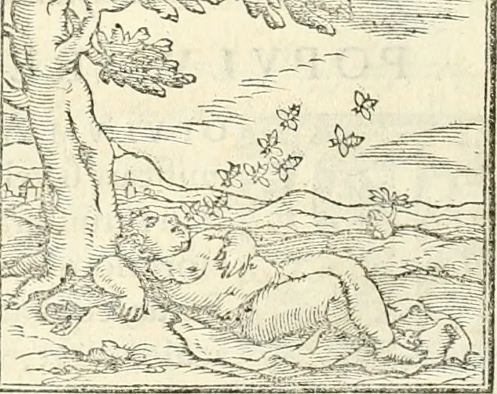 An illustration from Hieroglyphica, sive, De sacris Aegyptiorvm aliarvmqve gentivm literis commentarij, 1567, leaf 381
