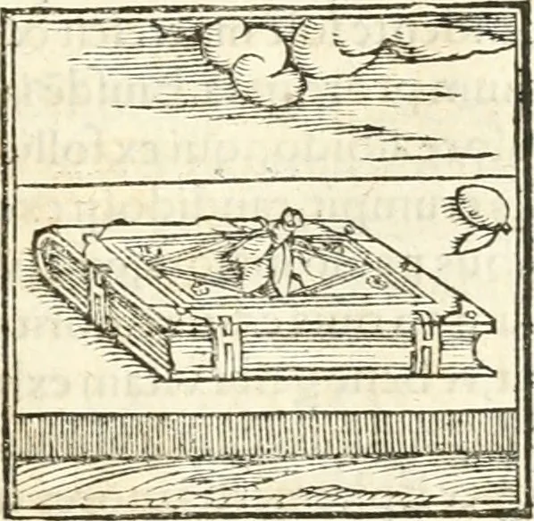 An illustration from Hieroglyphica, sive, De sacris Aegyptiorvm aliarvmqve gentivm literis commentarij, 1567, leaf 392