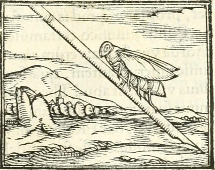 An illustration from Hieroglyphica, sive, De sacris Aegyptiorvm aliarvmqve gentivm literis commentarij, 1567, leaf 394