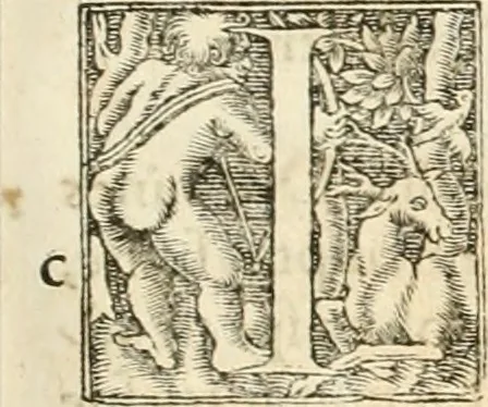An illustration from Hieroglyphica, sive, De sacris Aegyptiorvm aliarvmqve gentivm literis commentarij, 1567, leaf 398