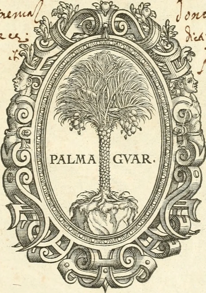 An illustration from Hieroglyphica, sive, De sacris Aegyptiorvm aliarvmqve gentivm literis commentarij, 1567, leaf 4