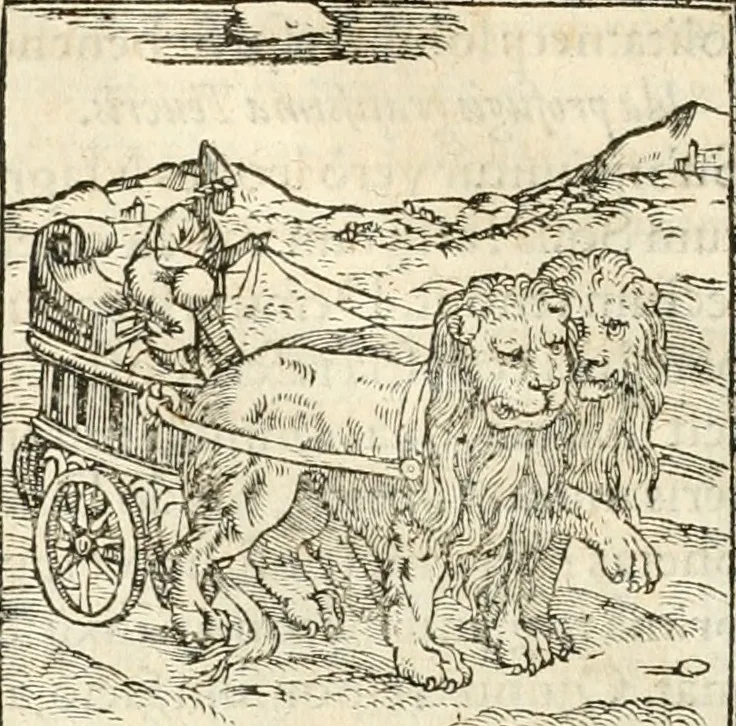 An illustration from Hieroglyphica, sive, De sacris Aegyptiorvm aliarvmqve gentivm literis commentarij, 1567, leaf 41