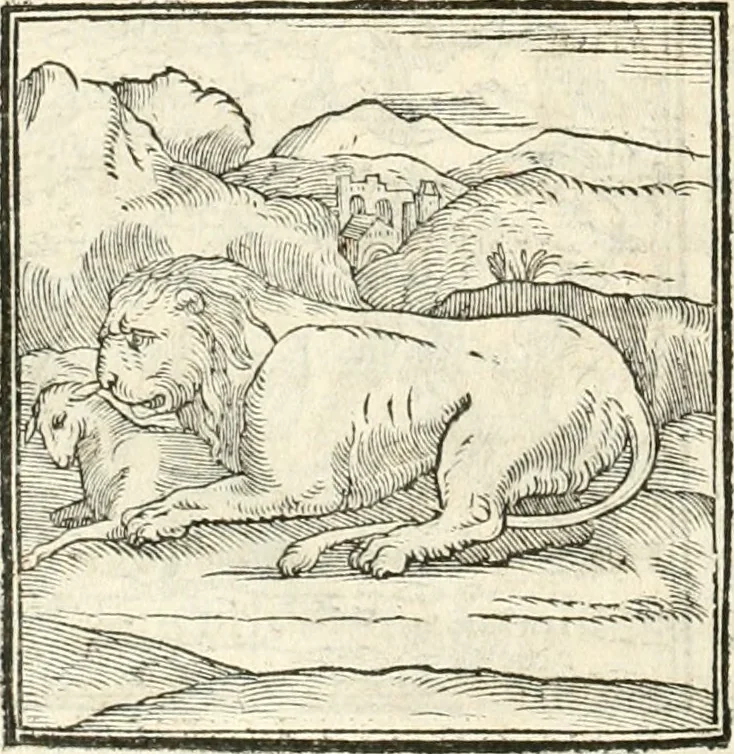 An illustration from Hieroglyphica, sive, De sacris Aegyptiorvm aliarvmqve gentivm literis commentarij, 1567, leaf 41