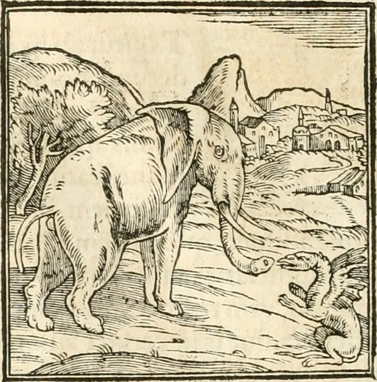 An illustration from Hieroglyphica, sive, De sacris Aegyptiorvm aliarvmqve gentivm literis commentarij, 1567, leaf 45