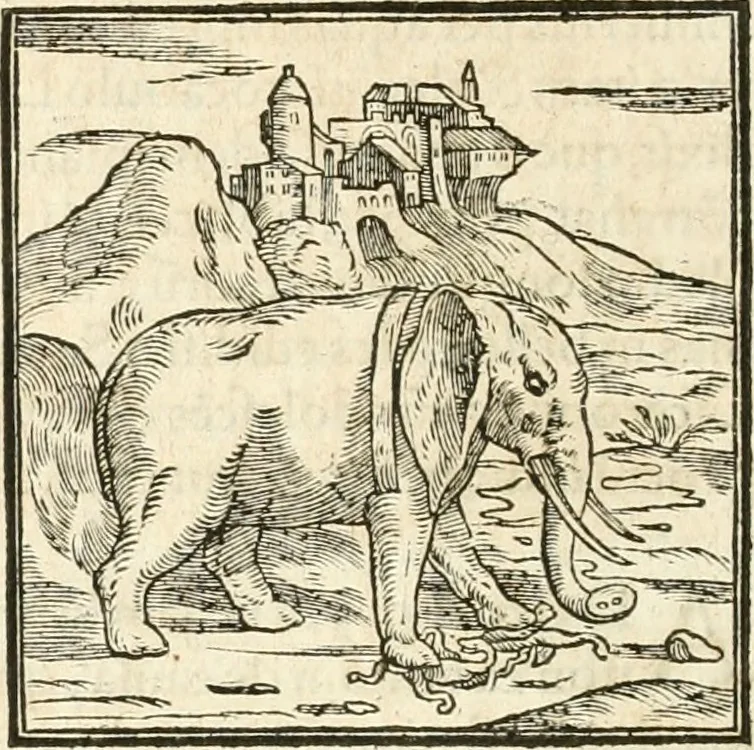 An illustration from Hieroglyphica, sive, De sacris Aegyptiorvm aliarvmqve gentivm literis commentarij, 1567, leaf 45