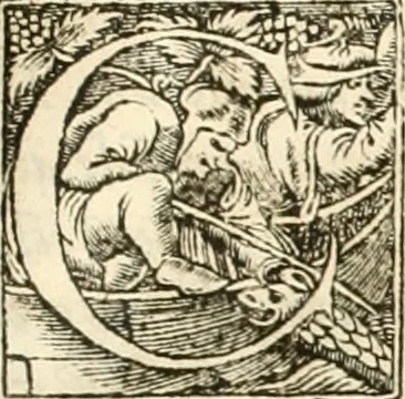 An illustration from Hieroglyphica, sive, De sacris Aegyptiorvm aliarvmqve gentivm literis commentarij, 1567, leaf 458