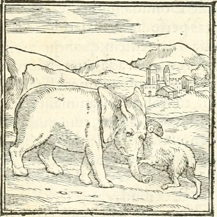 An illustration from Hieroglyphica, sive, De sacris Aegyptiorvm aliarvmqve gentivm literis commentarij, 1567, leaf 46