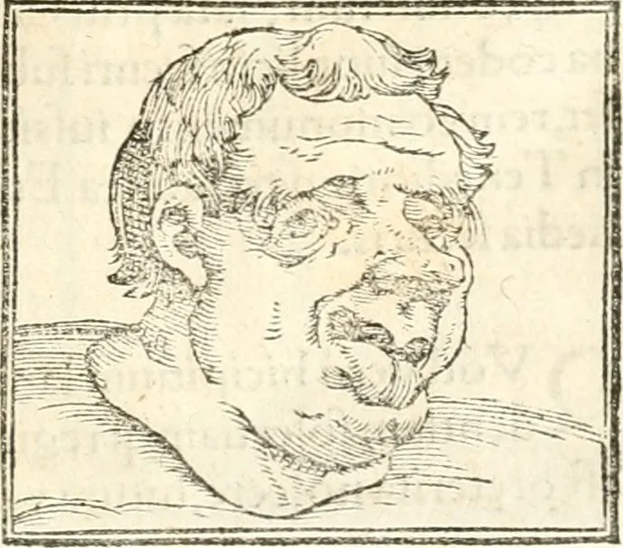 An illustration from Hieroglyphica, sive, De sacris Aegyptiorvm aliarvmqve gentivm literis commentarij, 1567, leaf 464