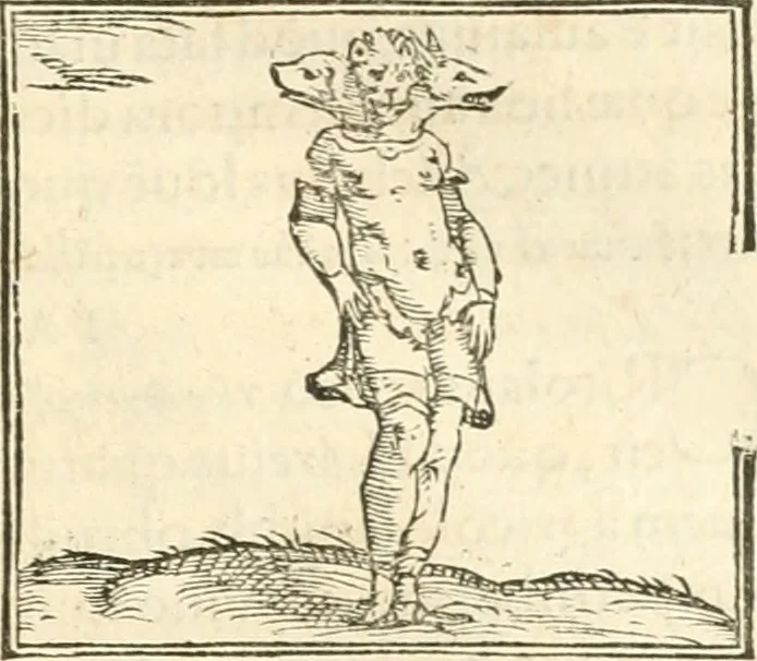 An illustration from Hieroglyphica, sive, De sacris Aegyptiorvm aliarvmqve gentivm literis commentarij, 1567, leaf 468