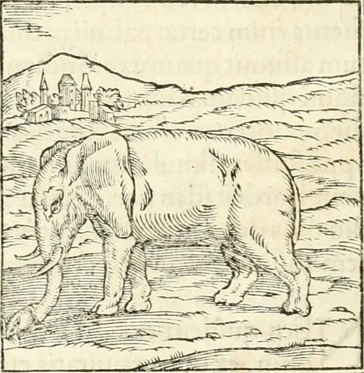 An illustration from Hieroglyphica, sive, De sacris Aegyptiorvm aliarvmqve gentivm literis commentarij, 1567, leaf 47