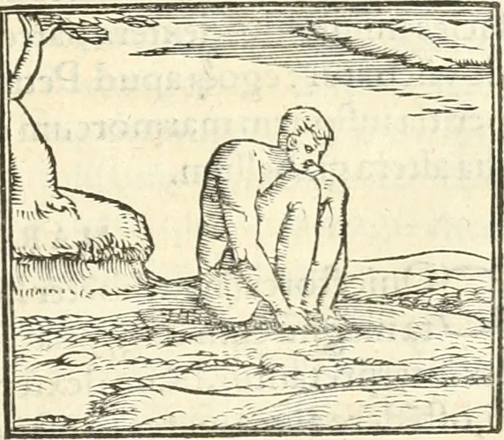 An illustration from Hieroglyphica, sive, De sacris Aegyptiorvm aliarvmqve gentivm literis commentarij, 1567, leaf 470