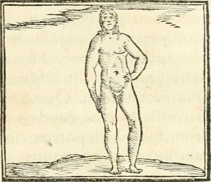 An illustration from Hieroglyphica, sive, De sacris Aegyptiorvm aliarvmqve gentivm literis commentarij, 1567, leaf 478