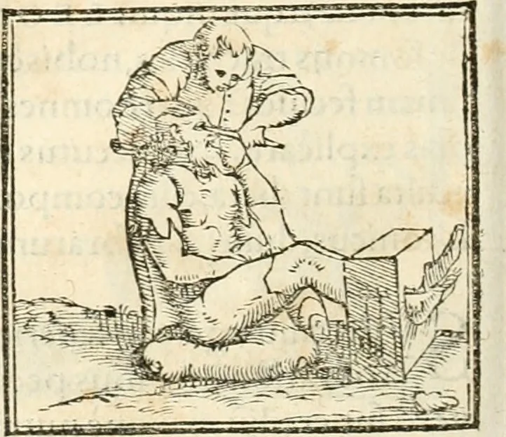 An illustration from Hieroglyphica, sive, De sacris Aegyptiorvm aliarvmqve gentivm literis commentarij, 1567, leaf 483