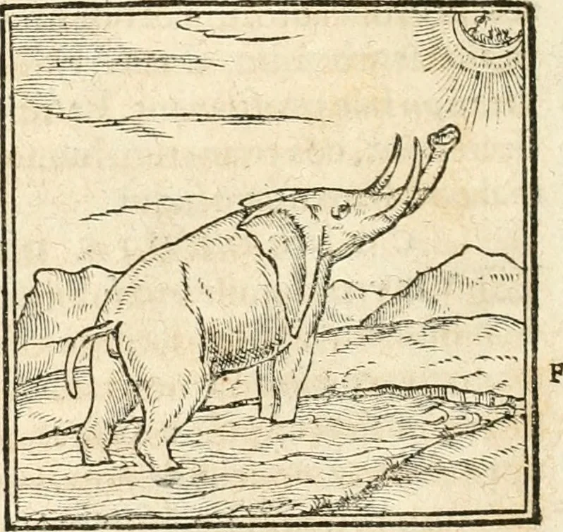 An illustration from Hieroglyphica, sive, De sacris Aegyptiorvm aliarvmqve gentivm literis commentarij, 1567, leaf 49